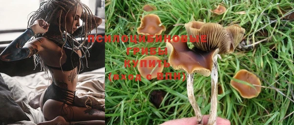 мет Карпинск
