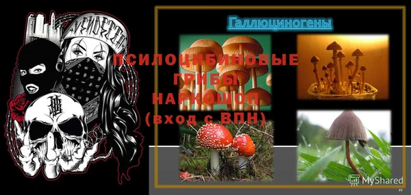 ECSTASY Корсаков