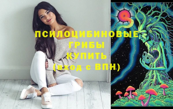 марки nbome Козельск