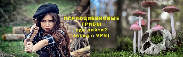 мет Карпинск