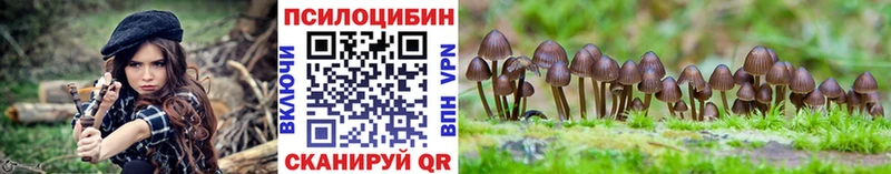 Псилоцибиновые грибы Cubensis  Котельнич 